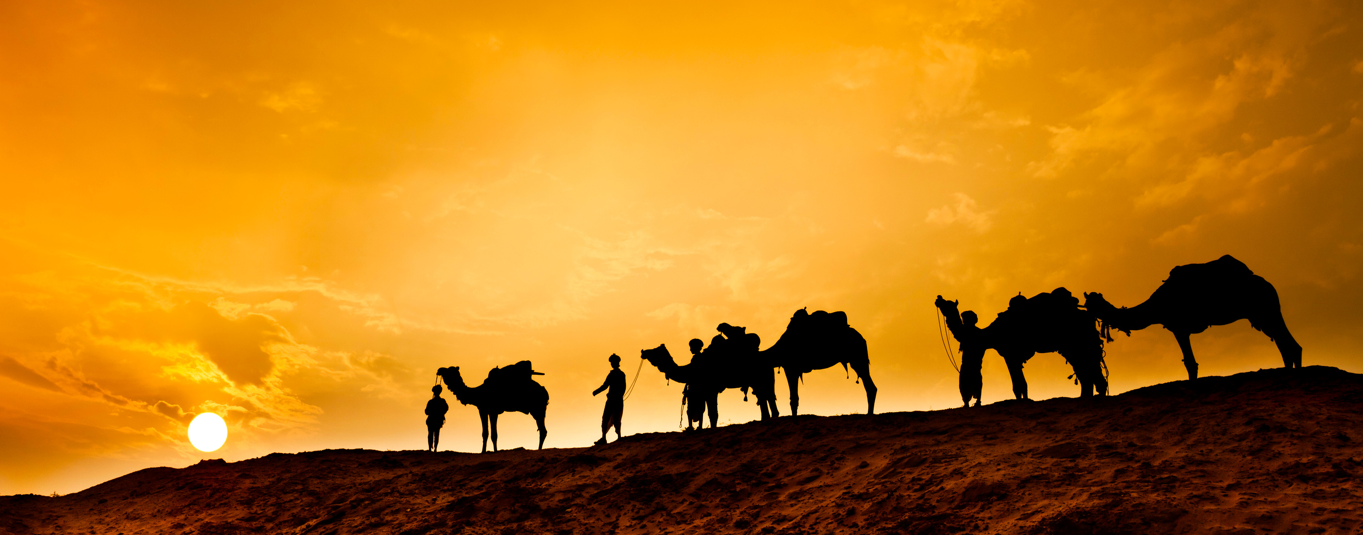 Camel Caravan